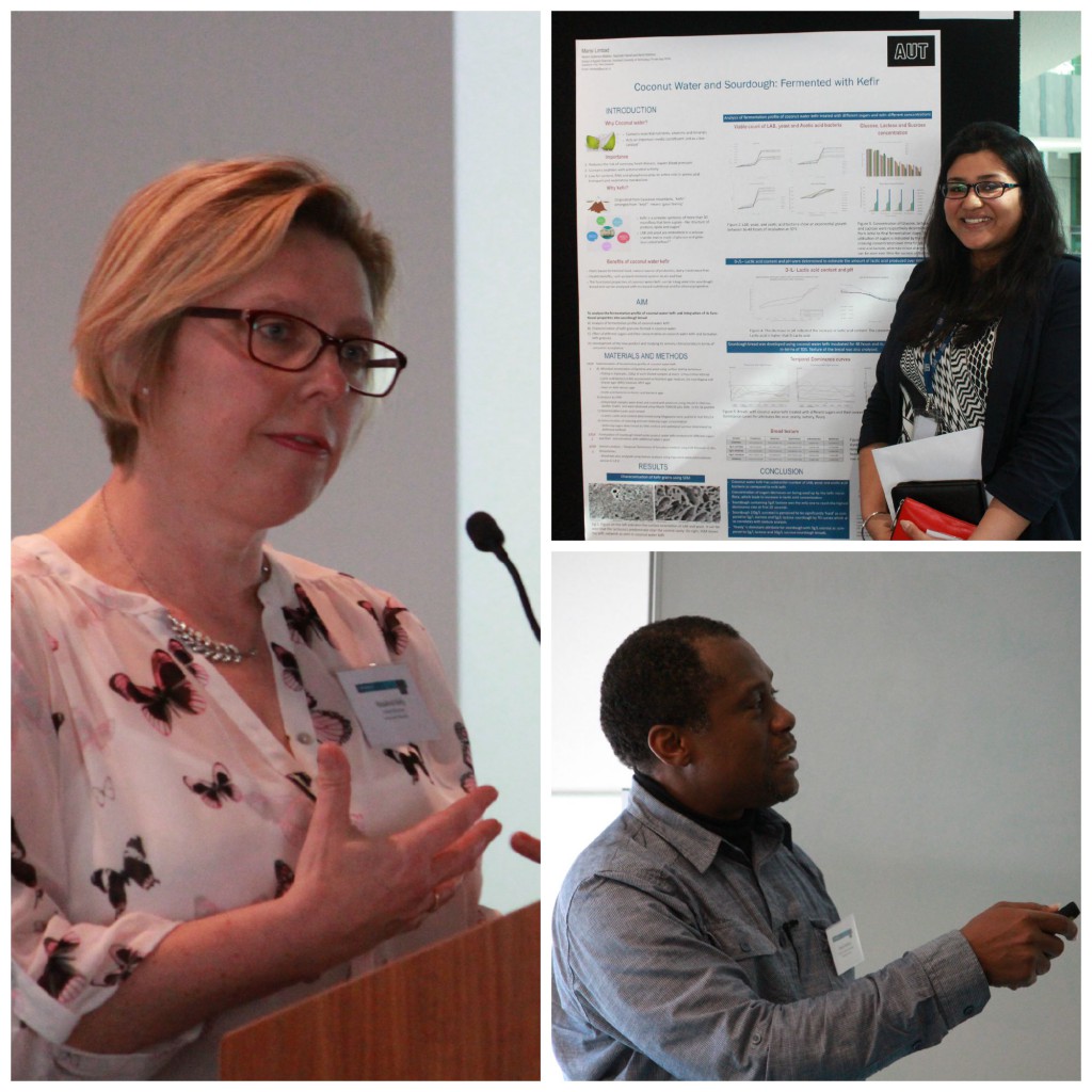 Difference between thesis and dissertation aut image